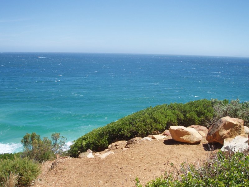 KeHa_in_South_Africa - 161